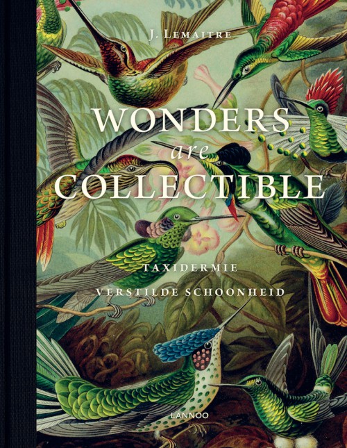 Kevers op een stokje! Boek Wonders are collectible.