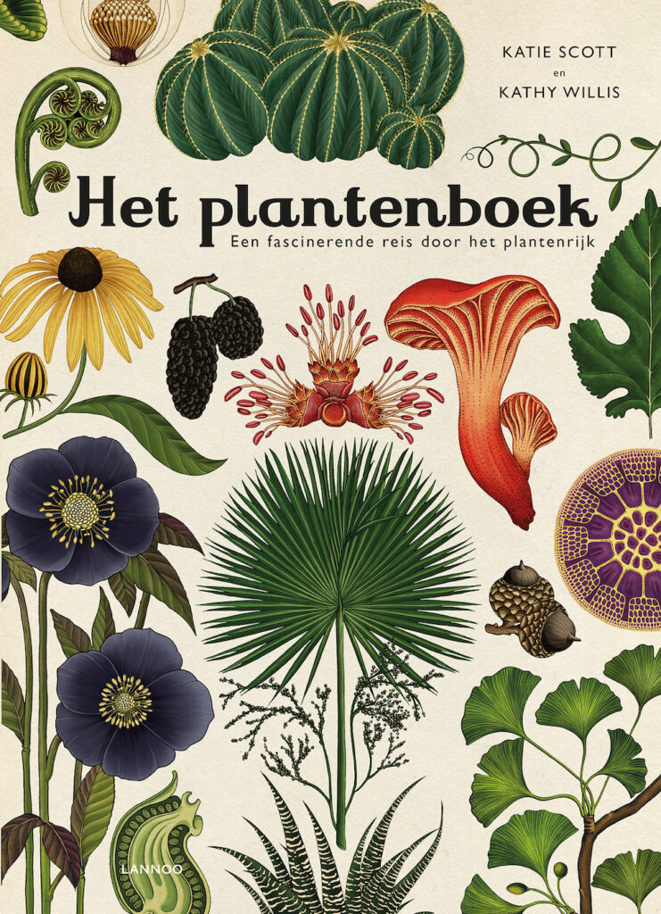 Het Plantenboek | Kathy Willis en Katie Scott