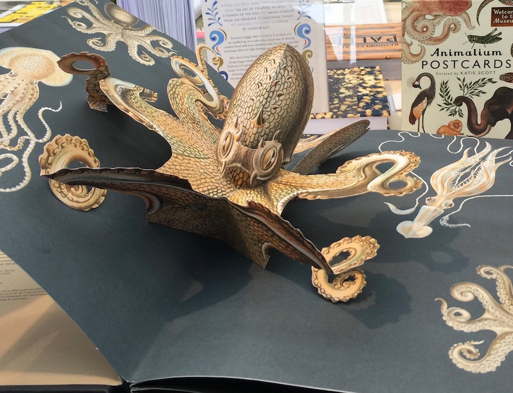 Pop-up boek Creatures of the Deep, Ernst Haeckel. Door Maike Biederstädt. EG