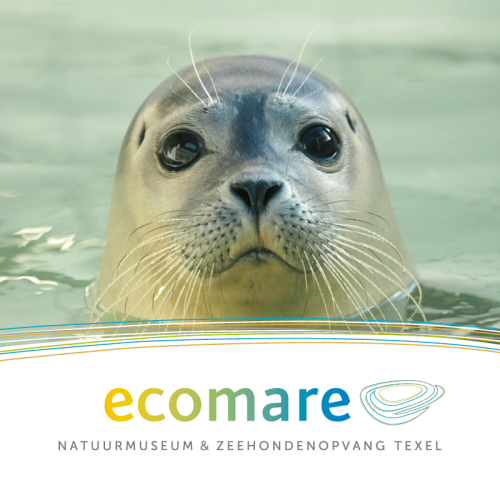 Museumwinkel Ecomare Training winkelinrichting